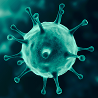 virus 