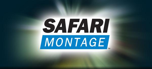 Safari 